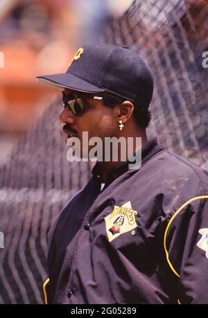Pittsburgh Pirates outfielder Barry Bond -- Veuillez créditer le photographe Kirk Schlea Banque D'Images