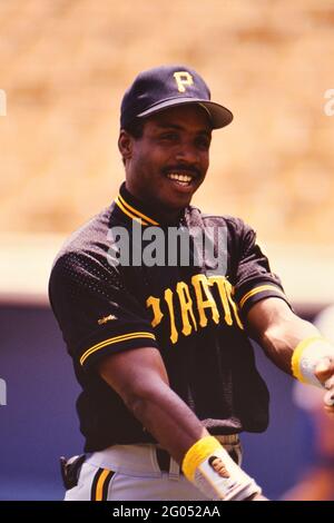 Pittsburgh Pirates outfielder Barry Bond -- Veuillez créditer le photographe Kirk Schlea Banque D'Images