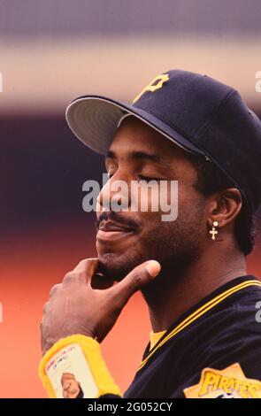 Pittsburgh Pirates outfielder Barry Bond -- Veuillez créditer le photographe Kirk Schlea Banque D'Images