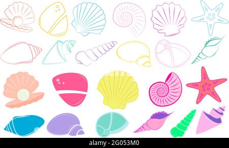 Ensemble de vecteurs de coquillages de dessin animé Illustration de Vecteur