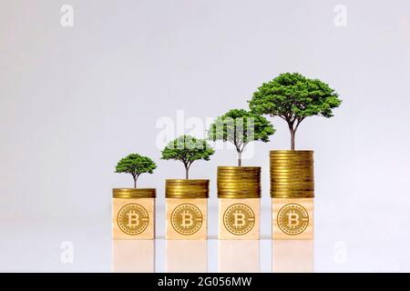 Idées d'affaires de crypto-monnaie et technologies futures. Arbre sur pièce de monnaie et bloc de bois avec hologramme de symbole de bitcoin. Banque D'Images