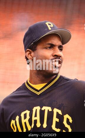 Pittsburgh Pirates outfielder Barry Bond -- Veuillez créditer le photographe Kirk Schlea Banque D'Images