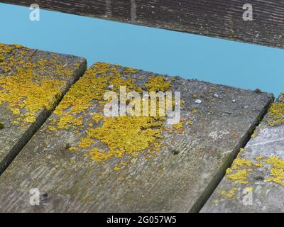 Vue imprenable sur les lacs et les cours d'eau des Dolomites dans les Alpes, en Italie Banque D'Images