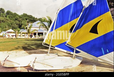 Années 1990 Sainte-Lucie (Caraïbes orientales) - des voiles lumineuses de poissons solaires dans un complexe de Sainte-Lucie ca. 1994 Banque D'Images