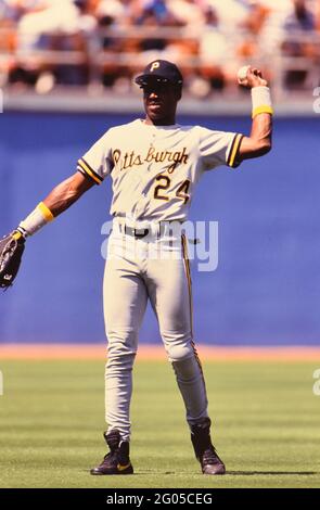 Pittsburgh Pirates outfielder Barry Bond -- Veuillez créditer le photographe Kirk Schlea Banque D'Images
