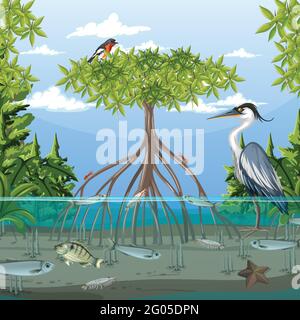 Scène de la forêt de mangroves en journée avec illustration des animaux Illustration de Vecteur