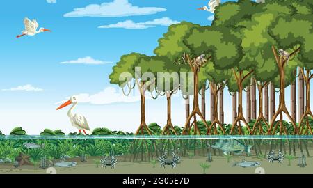 Scène de la forêt de mangroves en journée avec illustration des animaux Illustration de Vecteur