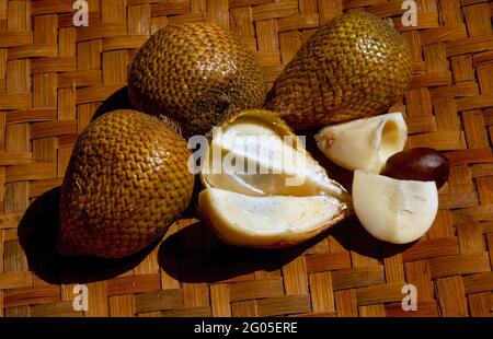 Vue de dessus de Salak gading, (Salacca edulis ou Salacca zalacca), connu sous le nom de fruit de serpent ou de fruit de peau de serpent, une espèce de palmier (famille Arecaceae) nat Banque D'Images