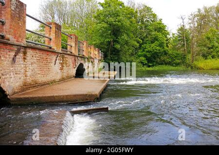 Vue sur la rivière Bure et les arches en briques du XVIIIe siècle qui subsistent du moulin à eau brûlé à Horstead, Norfolk, Angleterre, Royaume-Uni. Banque D'Images