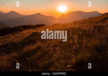 Paysage de montagne avec coucher de soleil sur un ciel clair en été Banque D'Images