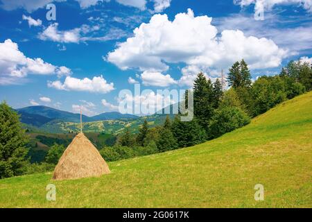 paysage rural avec botte de foin sur la prairie herbacée. magnifique paysage de montagne par une journée ensoleillée en été. nuages moelleux sur le ciel bleu Banque D'Images