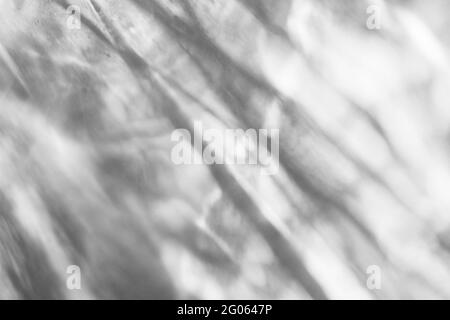Le verre laisse tomber l'ombre diagonale et la lumière caustiques sur un mur blanc. Caustiques formées par la réfraction du soleil dans une bouteille sur une table lumineuse. Rayons, Banque D'Images