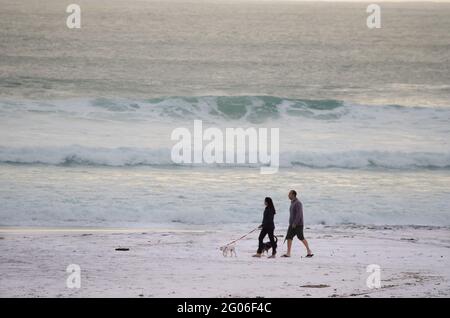 ARRAIAL DO CABO, BRÉSIL - 27 avril 2020 : Arraial do Cabo à Rio de Janeiro. 26-05-2016: Couple et leurs chiens marchent sur Praia dos Anjos dans Arraial do Cab Banque D'Images