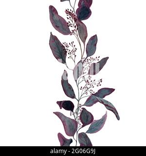 Aquarelle tracé à la main bordure sans couture de l'eucalyptus rouge avec des graines. Illustration de botanique décorative. Design pour l'emballage, le papier peint, les cartes de vœux Banque D'Images