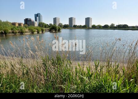 Woodberry Wetlands, Londres, Royaume-Uni. 1er juin 2021. Météo au Royaume-Uni : ensoleillé et chaud dans les zones humides de Woodberry. Crédit : Matthew Chattle/Alay Live News Banque D'Images