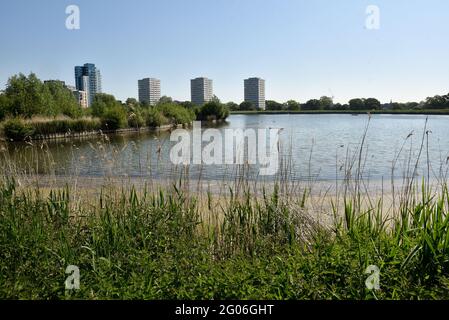 Woodberry Wetlands, Londres, Royaume-Uni. 1er juin 2021. Météo au Royaume-Uni : ensoleillé et chaud dans les zones humides de Woodberry. Crédit : Matthew Chattle/Alay Live News Banque D'Images