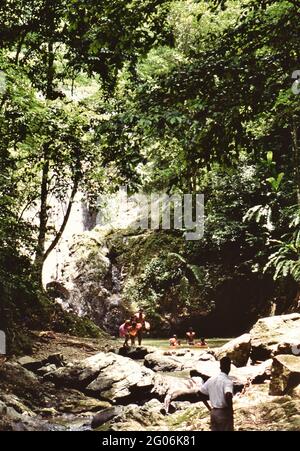 Années 1990 Trinité-et-Tobago - pittoresque Argyll Falls près du centre de l'île, endroit populaire pour les familles locales et les touristes à Tobago ca. 1998 Banque D'Images