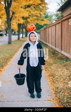 Trick or Treat. Joyeux enfant garçon avec de la citrouille rouge sur la tête. Enfant qui va se gâter ou se tromper pendant les vacances d'Halloween. Mignon garçon en costume de panda de fête Banque D'Images