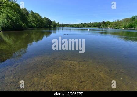 Lac Tilgate Park à Crawley, West Sussex, le 1er juin 2021 Banque D'Images