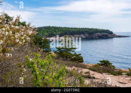 Thunder Hole dans le parc national Acadia. Photo de haute qualité Banque D'Images