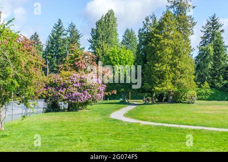 Une vue d'un parc de la ville avec fleurs en fleur au printemps. L'emplacement est Burien, Washington. Banque D'Images