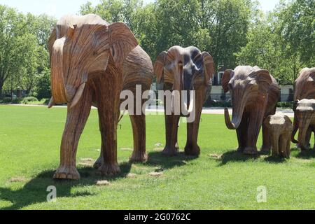 Herd the news, UN magnifique troupeau de 50 éléphants grandeur nature faits à la main en roaming Chelsea, fabriqué à l'aide de Lantana camara, un matériel végétal naturel, Londres, Banque D'Images