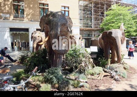 Herd the news, UN magnifique troupeau de 50 éléphants grandeur nature faits à la main en roaming Chelsea, fabriqué à l'aide de Lantana camara, un matériel végétal naturel, Londres, Banque D'Images