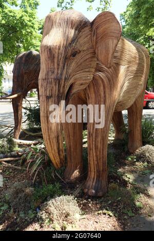 Herd the news, UN magnifique troupeau de 50 éléphants grandeur nature faits à la main en roaming Chelsea, fabriqué à l'aide de Lantana camara, un matériel végétal naturel, Londres, Banque D'Images