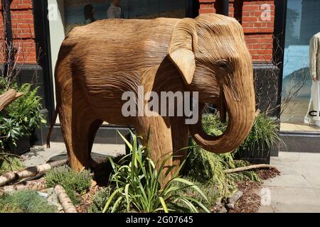 Herd the news, UN magnifique troupeau de 50 éléphants grandeur nature faits à la main en roaming Chelsea, fabriqué à l'aide de Lantana camara, un matériel végétal naturel, Londres, Banque D'Images