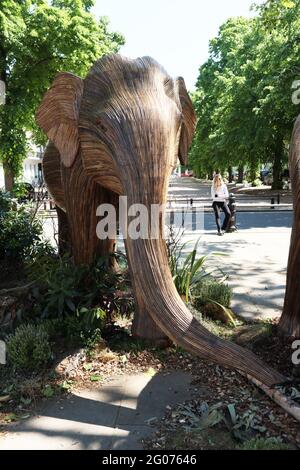 Herd the news, UN magnifique troupeau de 50 éléphants grandeur nature faits à la main en roaming Chelsea, fabriqué à l'aide de Lantana camara, un matériel végétal naturel, Londres, Banque D'Images