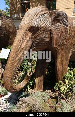 Herd the news, UN magnifique troupeau de 50 éléphants grandeur nature faits à la main en roaming Chelsea, fabriqué à l'aide de Lantana camara, un matériel végétal naturel, Londres, Banque D'Images