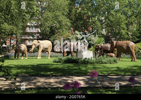 Herd the news, UN magnifique troupeau de 50 éléphants grandeur nature faits à la main en roaming Chelsea, fabriqué à l'aide de Lantana camara, un matériel végétal naturel, Londres, Banque D'Images