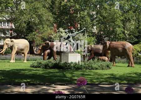 Herd the news, UN magnifique troupeau de 50 éléphants grandeur nature faits à la main en roaming Chelsea, fabriqué à l'aide de Lantana camara, un matériel végétal naturel, Londres, Banque D'Images