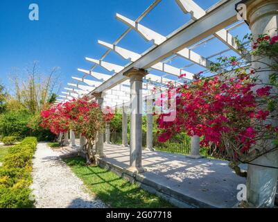 Sunken Garden et Pergola au musée historique de Spanish point et complexe environnemental à Osprey, Floride. ÉTATS-UNIS Banque D'Images