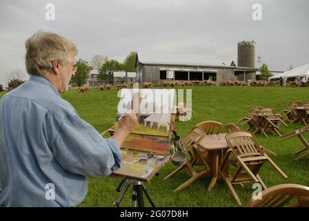 AUGUSTA, ÉTATS-UNIS - 30 avril 2009 : peinture d'un artiste de plein air dans le Missouri. Banque D'Images