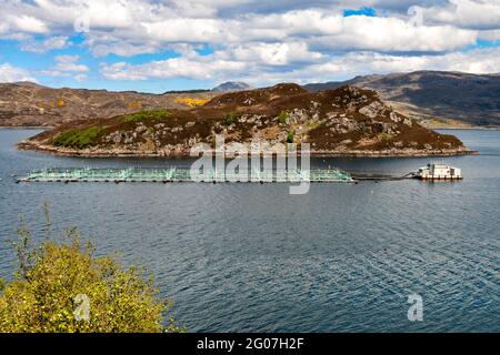 DES CAGES D'ÉLEVAGE DE SAUMONS AMARRÉES AU LOCH A CHAIRN BHAIN PRÈS DE LA CÔTE OUEST DE L'ÉCOSSE KYLESKU Banque D'Images