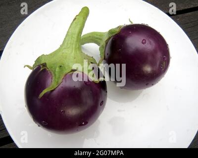 Deux petites aubergines violettes rondes sur une assiette blanche ronde sur une table en bois Banque D'Images