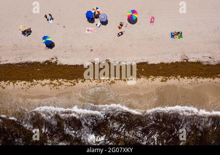 West Palm Beach, Floride, États-Unis. 5 juillet 2019. Les algues flottent sur la plage et flottent dans l'océan à Delray Beach. Un nouveau rapport de l'Université de Floride du Sud a déclaré que plus de 10 millions de tonnes métriques d'algues flottent dans l'Atlantique du Centre-Ouest, la mer des Caraïbes, l'est du golfe du Mexique et les eaux au large de la côte est de la Floride. Crédit : Greg Lovett/Palm Beach Post/ZUMA Wire/Alay Live News Banque D'Images