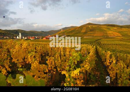 FRANCE, HAUT-RHIN (68), KATZENTHAL, VIGNOBLE ET VILLAGE DE KATZENTHAL Banque D'Images