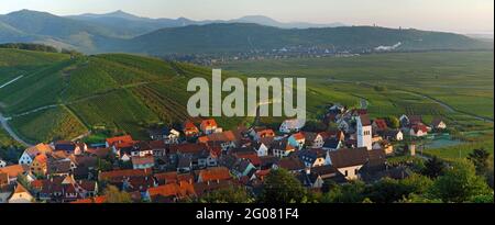 FRANCE, HAUT-RHIN (68), KATZENTHAL, VILLAGE ET VIGNOBLE WINECK-SCHLOSSBERGDE GRAND CRU Banque D'Images