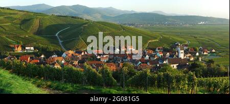 FRANCE, HAUT-RHIN (68), KATZENTHAL, VILLAGE ET VIGNOBLE DE KATZENTHAL Banque D'Images