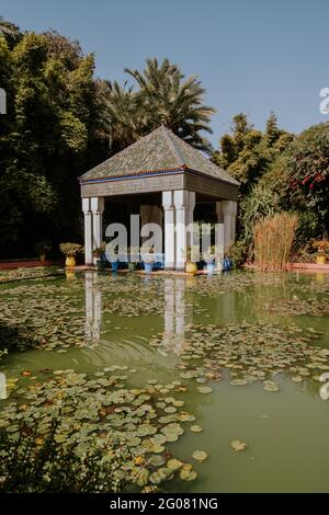 Belvédère ornemental situé près d'un étang calme avec des nénuphars le jour ensoleillé dans un jardin tropical à Marrakech, au Maroc Banque D'Images