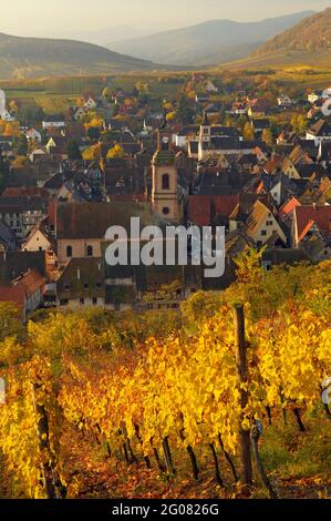 FRANCE, HAUT-RHIN (68), RIQUEWIHR VILLAGE ET VIGNOBLE EN AUTOMNE Banque D'Images