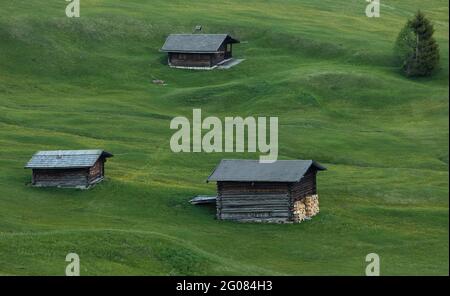 Huttes de bois d'œuvre aux intempéries situées sur une pente verte et herbeuse sur une pente paisible Journée dans les Dolomites Banque D'Images