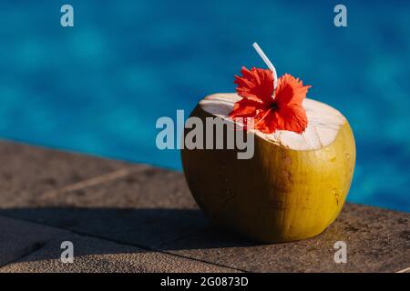 Gros plan de noix de coco avec paille et fleur sur le bord de la piscine Banque D'Images