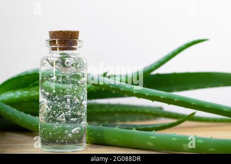 Bouteille en verre de gel d'aloe vera avec feuilles de plantes sur fond en bois Banque D'Images