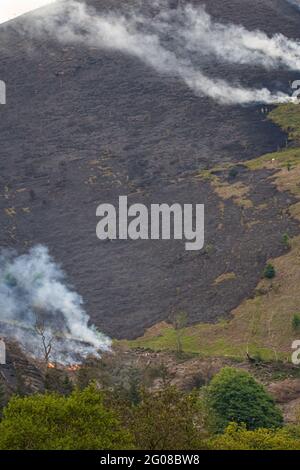 Feu de gorge à Rhewl près de Llangollen Banque D'Images