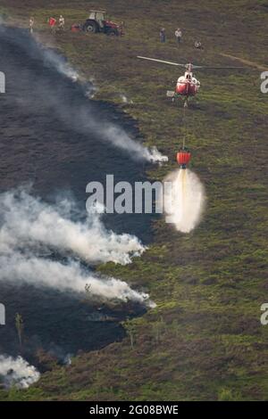 Feu de gorge à Rhewl près de Llangollen Banque D'Images