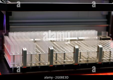 Vider les tubes à essai dans les portoirs du laboratoire de recherche scientifique. Mise au point sélective. Banque D'Images