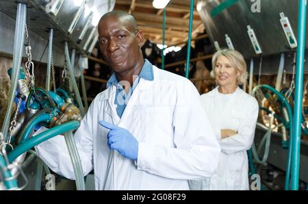 Ferme homme de la femme de chambre en peignoir debout près des machines automatiques de traite de vache Banque D'Images